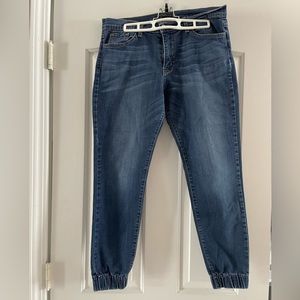 Flying Monkey Platinum Jogger Jeans